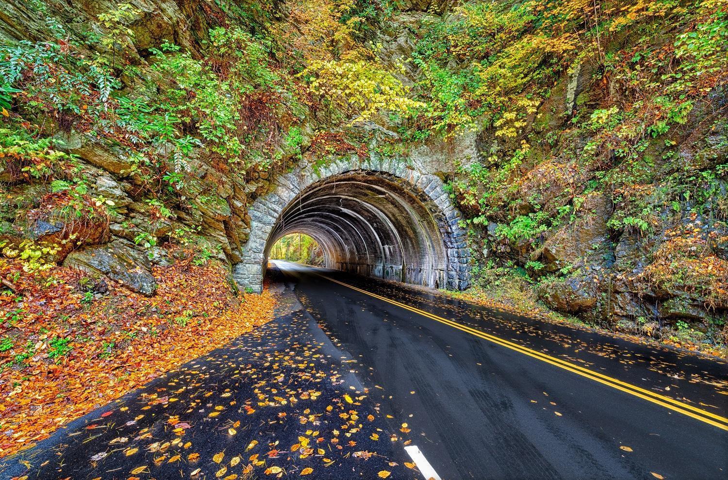Time To Cuddle, Wifi, Near Pigeon Forge, 1089 Free Tickets Each Paid Day, Dollywood And More Bagian luar foto
