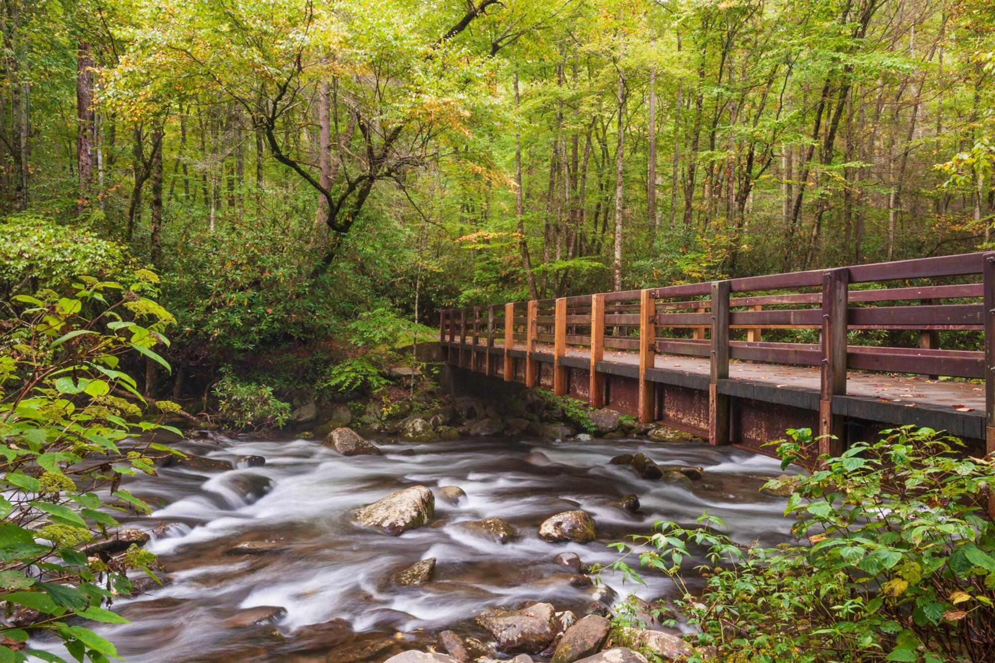 Time To Cuddle, Wifi, Near Pigeon Forge, 1089 Free Tickets Each Paid Day, Dollywood And More Bagian luar foto