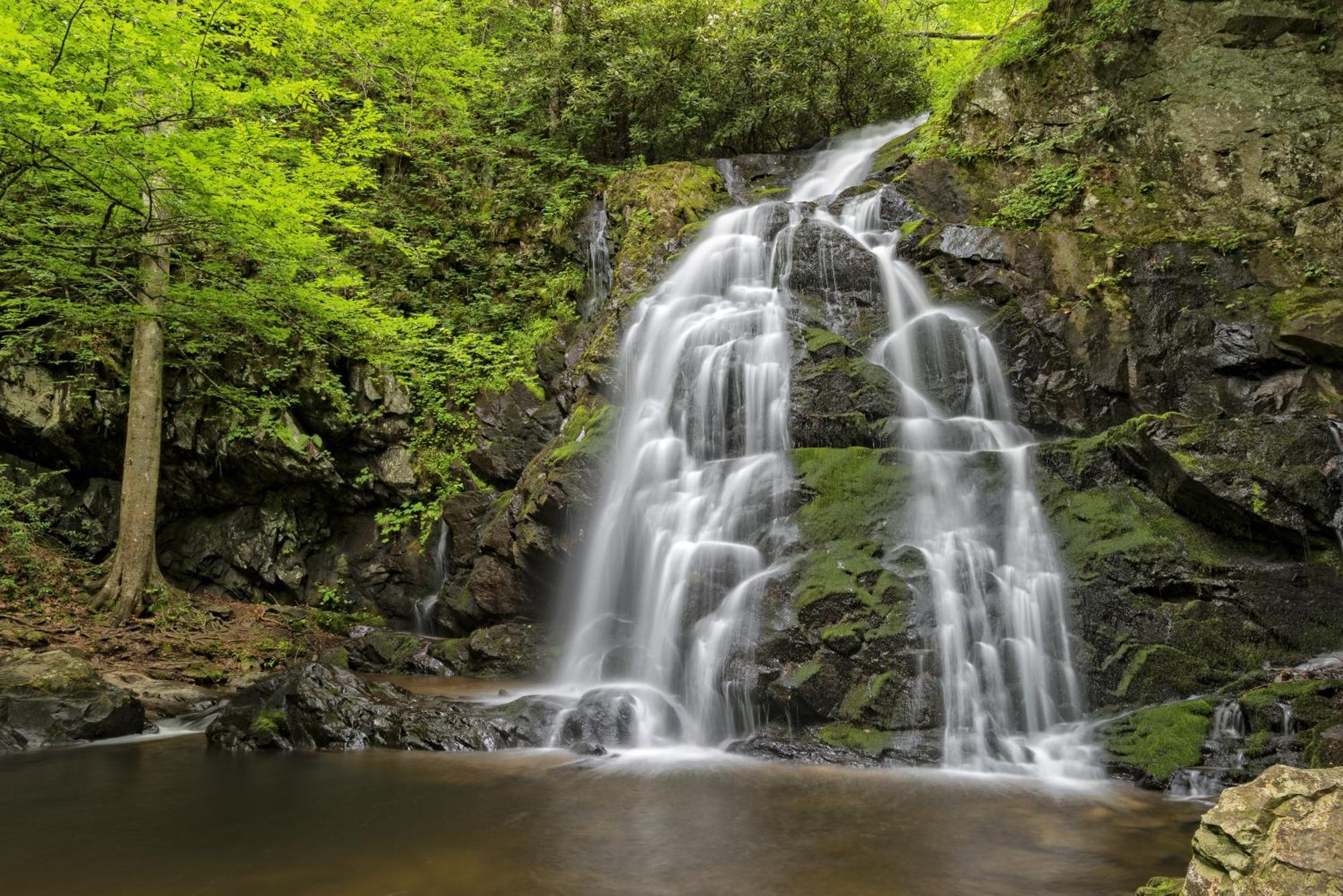 Time To Cuddle, Wifi, Near Pigeon Forge, 1089 Free Tickets Each Paid Day, Dollywood And More Bagian luar foto
