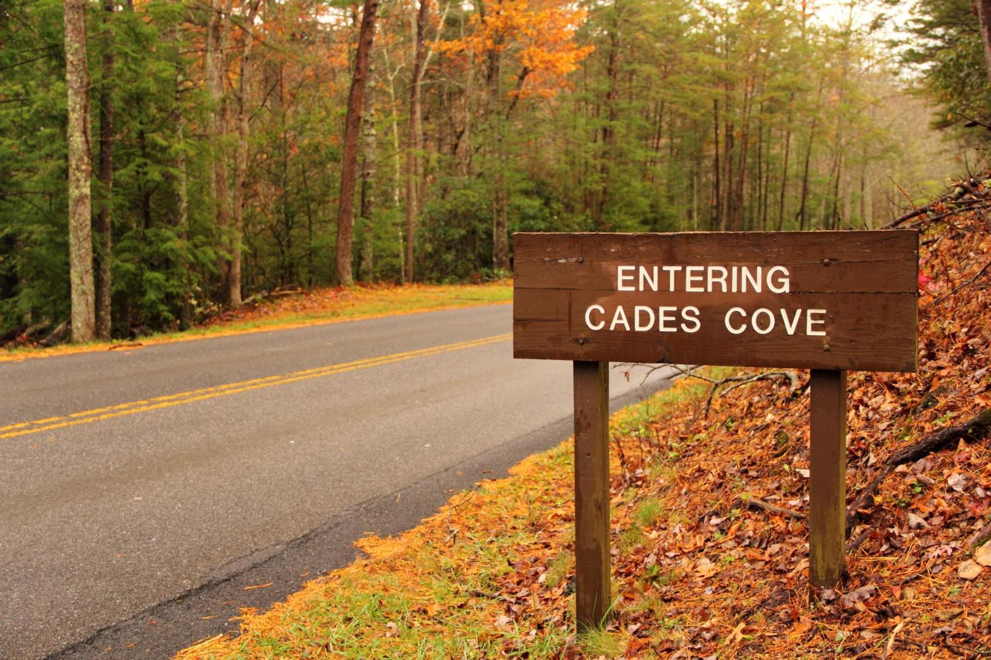 Time To Cuddle, Wifi, Near Pigeon Forge, 1089 Free Tickets Each Paid Day, Dollywood And More Bagian luar foto